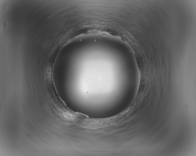 X0000073840045200608101241