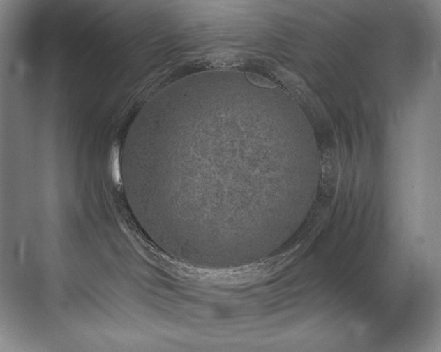 X0000073840046200608101241