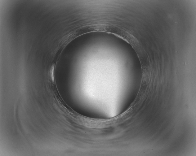 X0000073840047200608101241