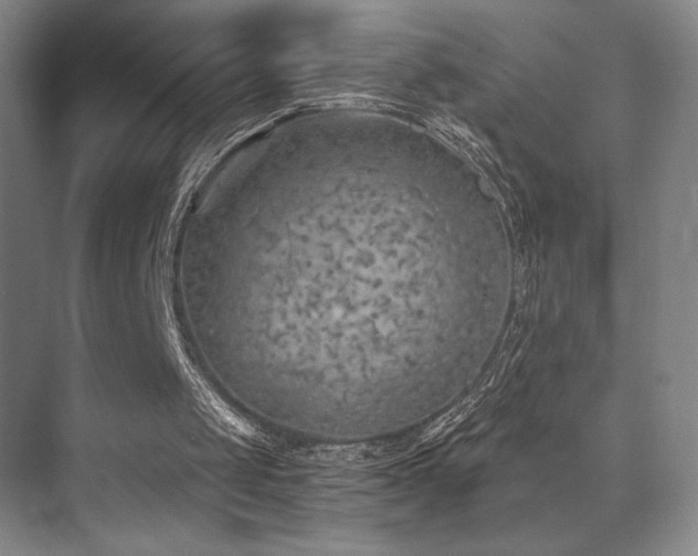 X0000073840049200608101240