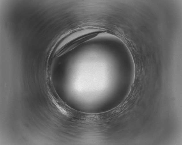 X0000073840050200608101240