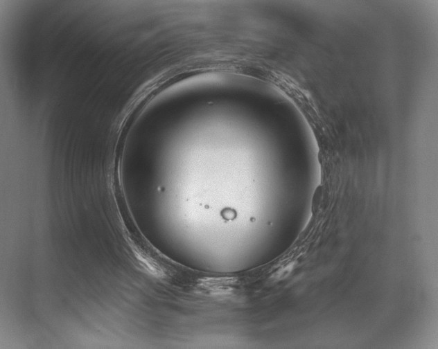 X0000073840051200608101240