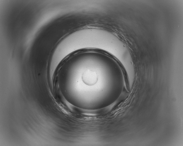 X0000073840052200608101240