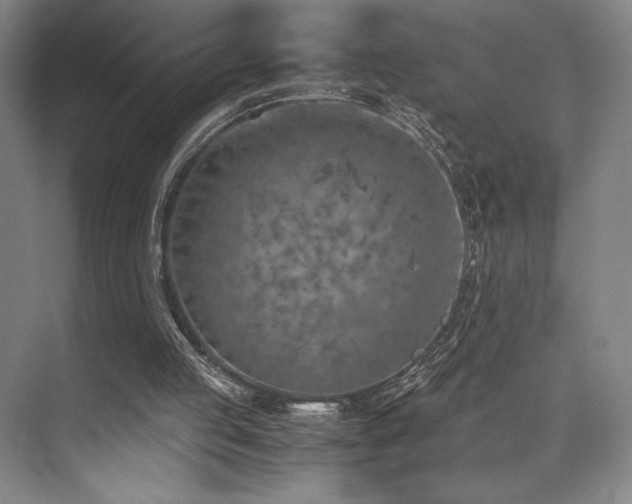 X0000073840053200608101240