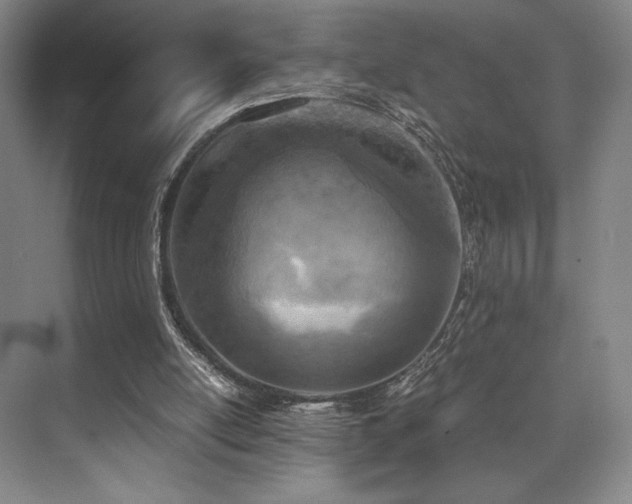 X0000073840054200608101240