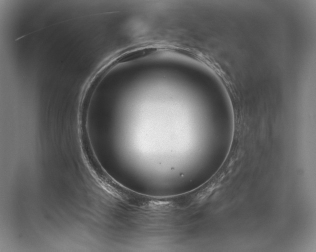 X0000073840055200608101240