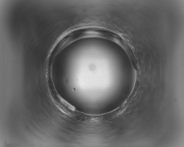 X0000073840056200608101240