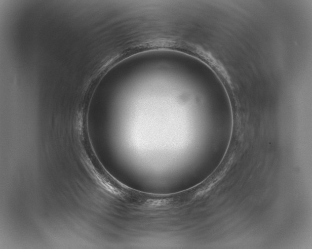 X0000073840057200608101240