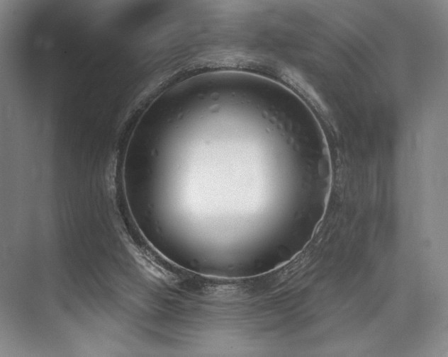 X0000073840058200608101240