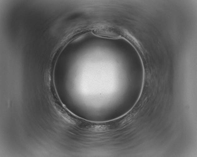 X0000073840059200608101240