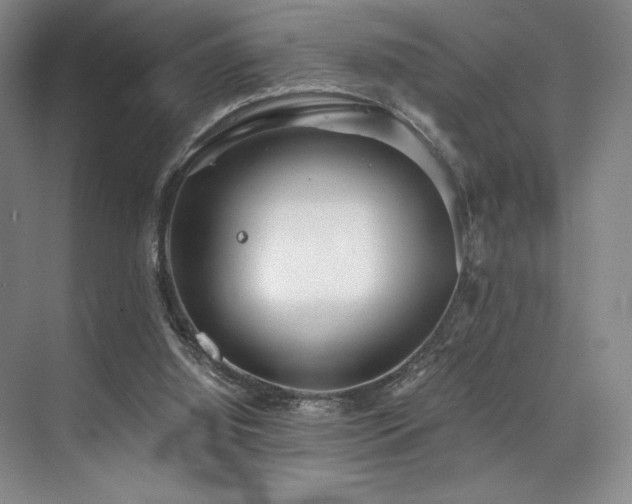 X0000073840060200608101240