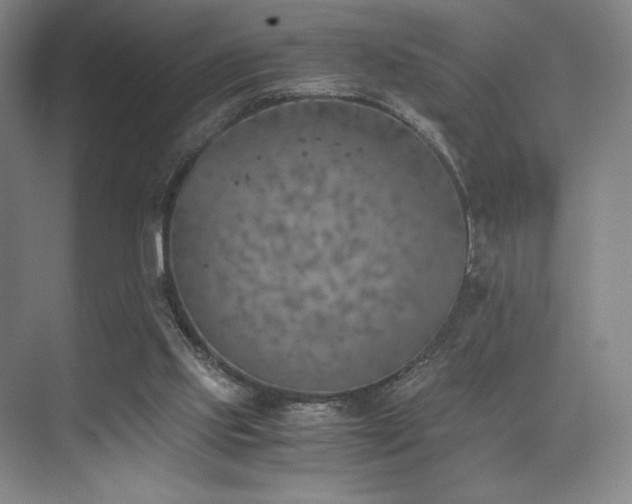 X0000073840061200608101240