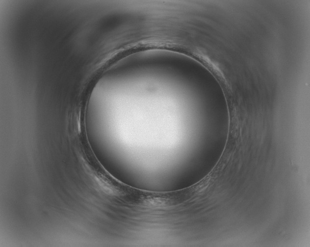 X0000073840062200608101240