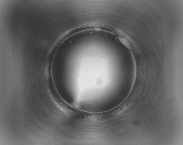 X0000073840064200608101240