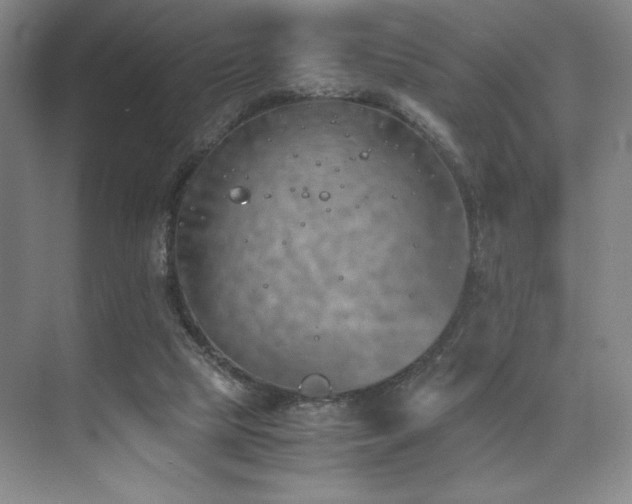 X0000073840065200608101240