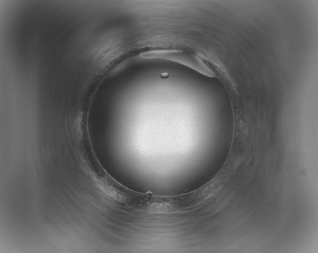 X0000073840066200608101240