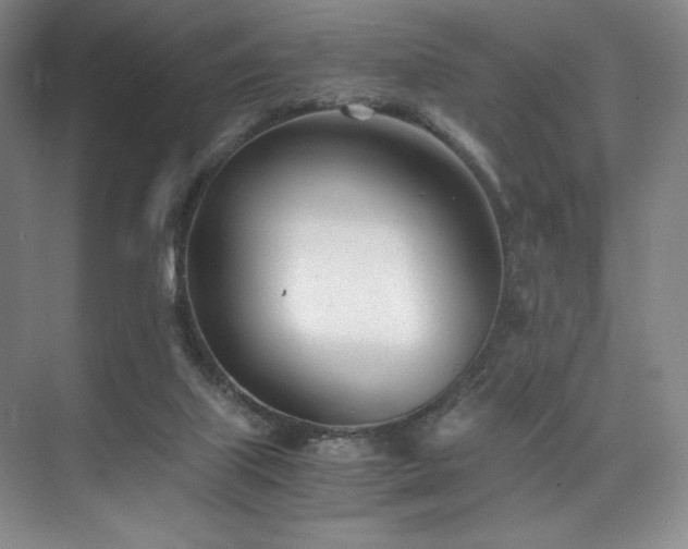 X0000073840067200608101240