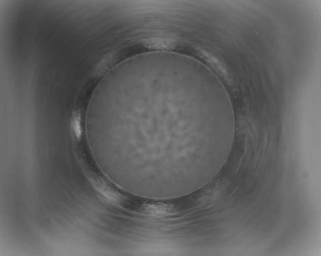 X0000073840069200608101240