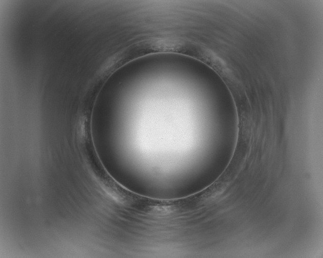 X0000073840071200608101240