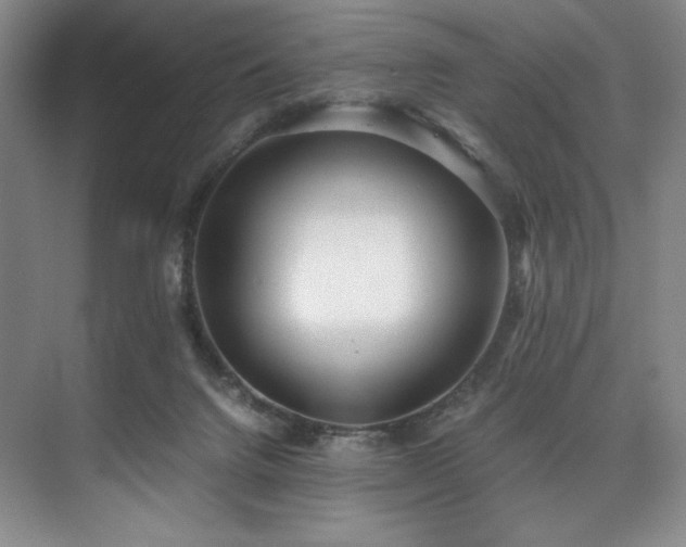 X0000073840072200608101240