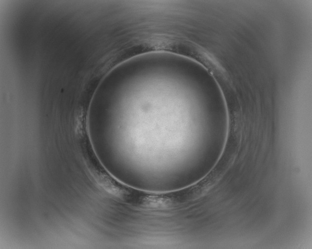 X0000073840073200608101240