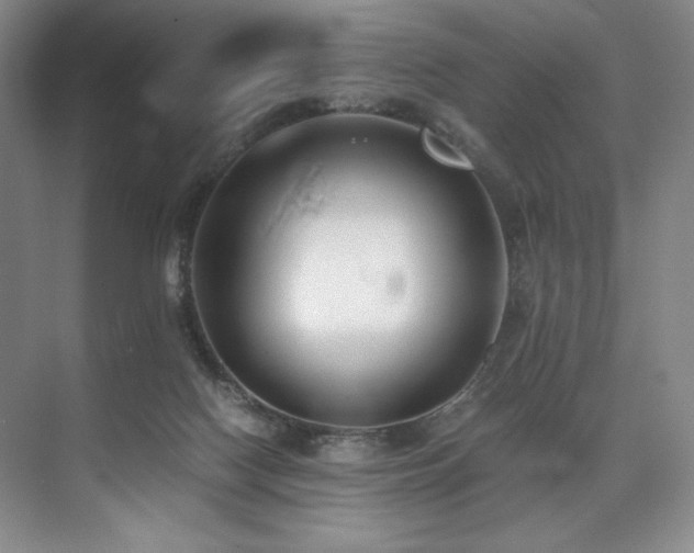 X0000073840074200608101240