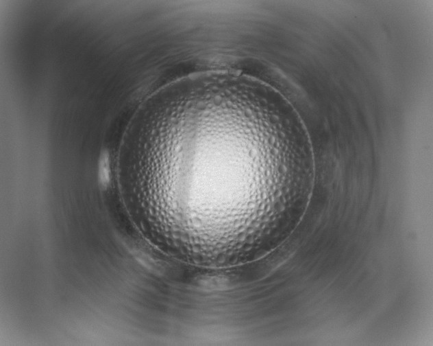 X0000073840075200608101240