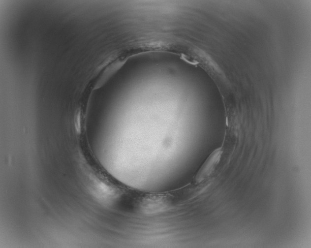 X0000073840076200608101240