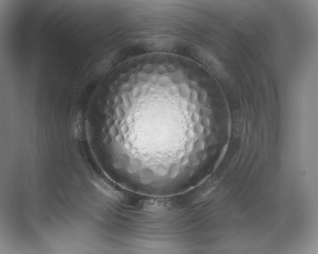 X0000073840077200608101240