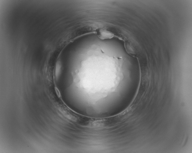 X0000073840078200608101240