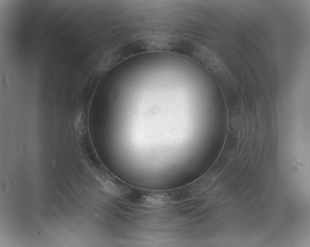 X0000073840079200608101240