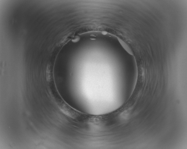 X0000073840080200608101240