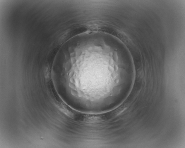 X0000073840081200608101240