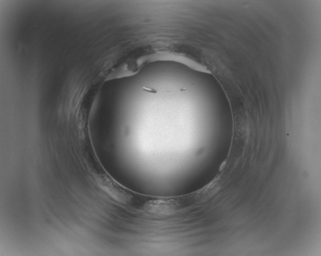 X0000073840082200608101240