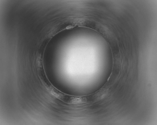 X0000073840083200608101240