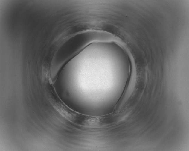 X0000073840084200608101240