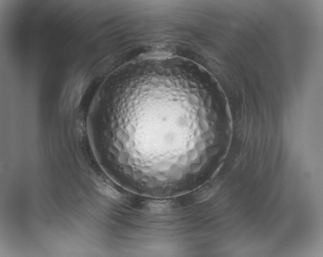 X0000073840085200608101240