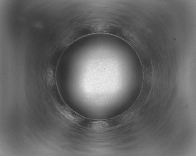 X0000073840087200608101241