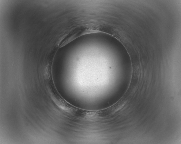 X0000073840088200608101241