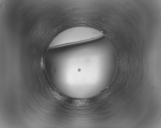 X0000073840089200608101241