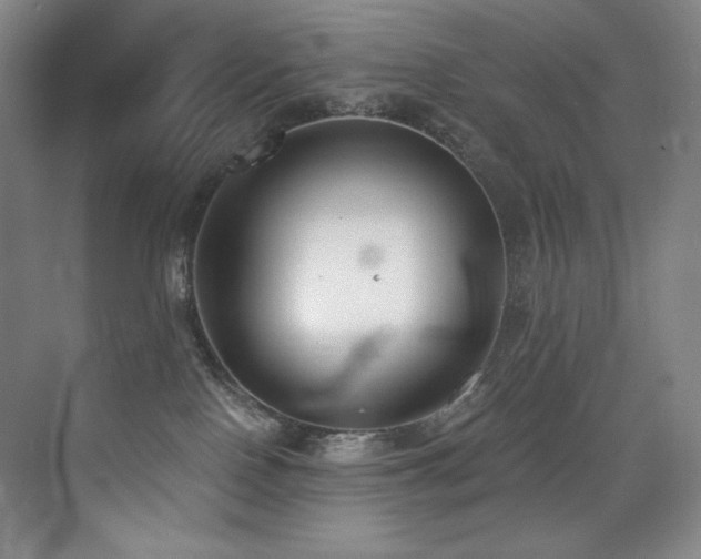 X0000073840090200608101241