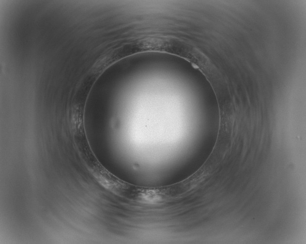 X0000073840091200608101241