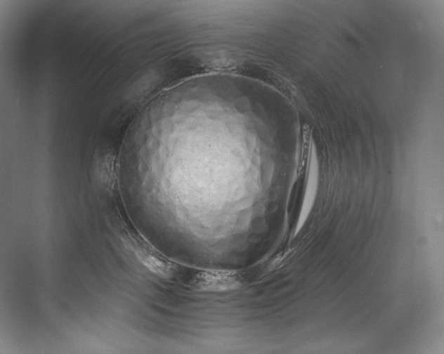 X0000073840093200608101241