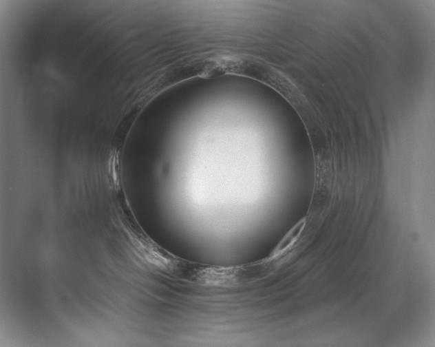 X0000073840094200608101241