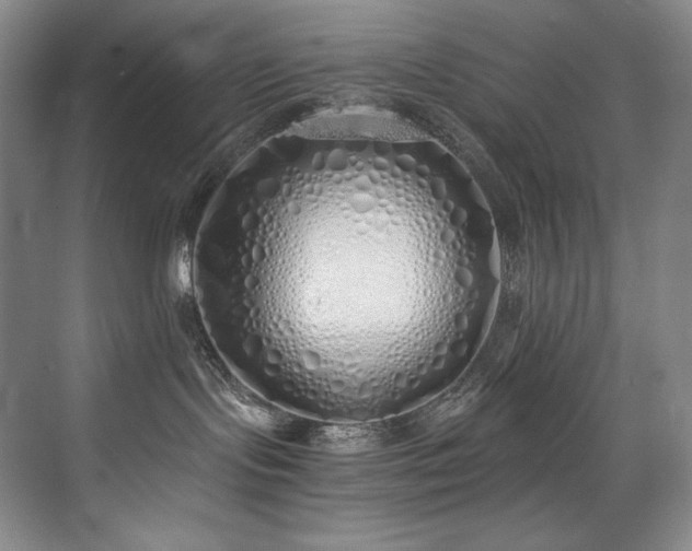 X0000073840095200608101241