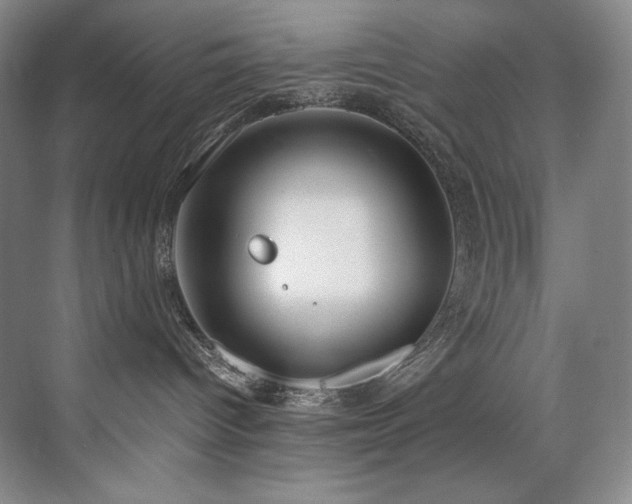 X0000073840096200608101241