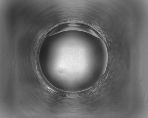 X0000073840097200608101240