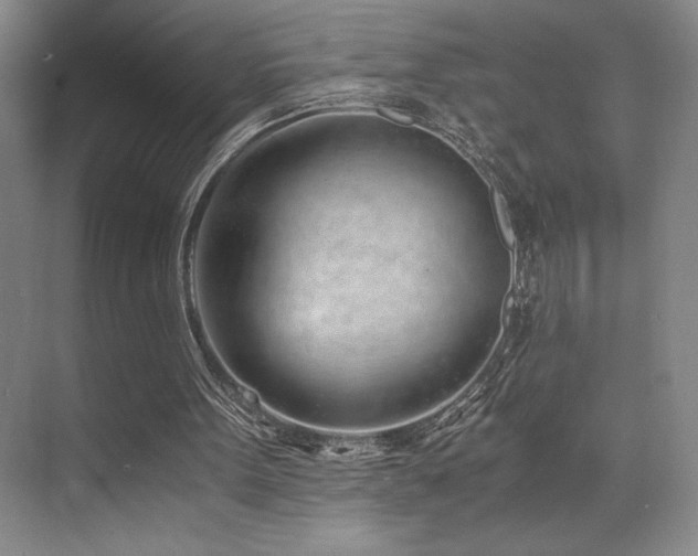 X0000073840099200608101240