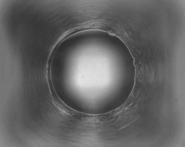 X0000073840100200608101240