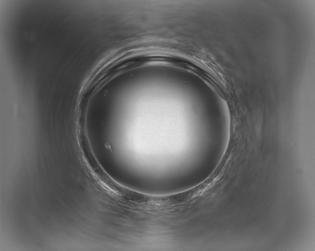 X0000073840101200608101240